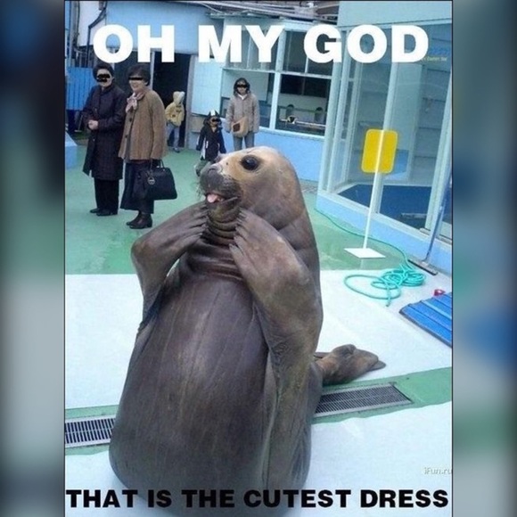 I hit 500k! ๐ฅธ Itโs a Follow Game share me ๐ค - Picture 2 of 6